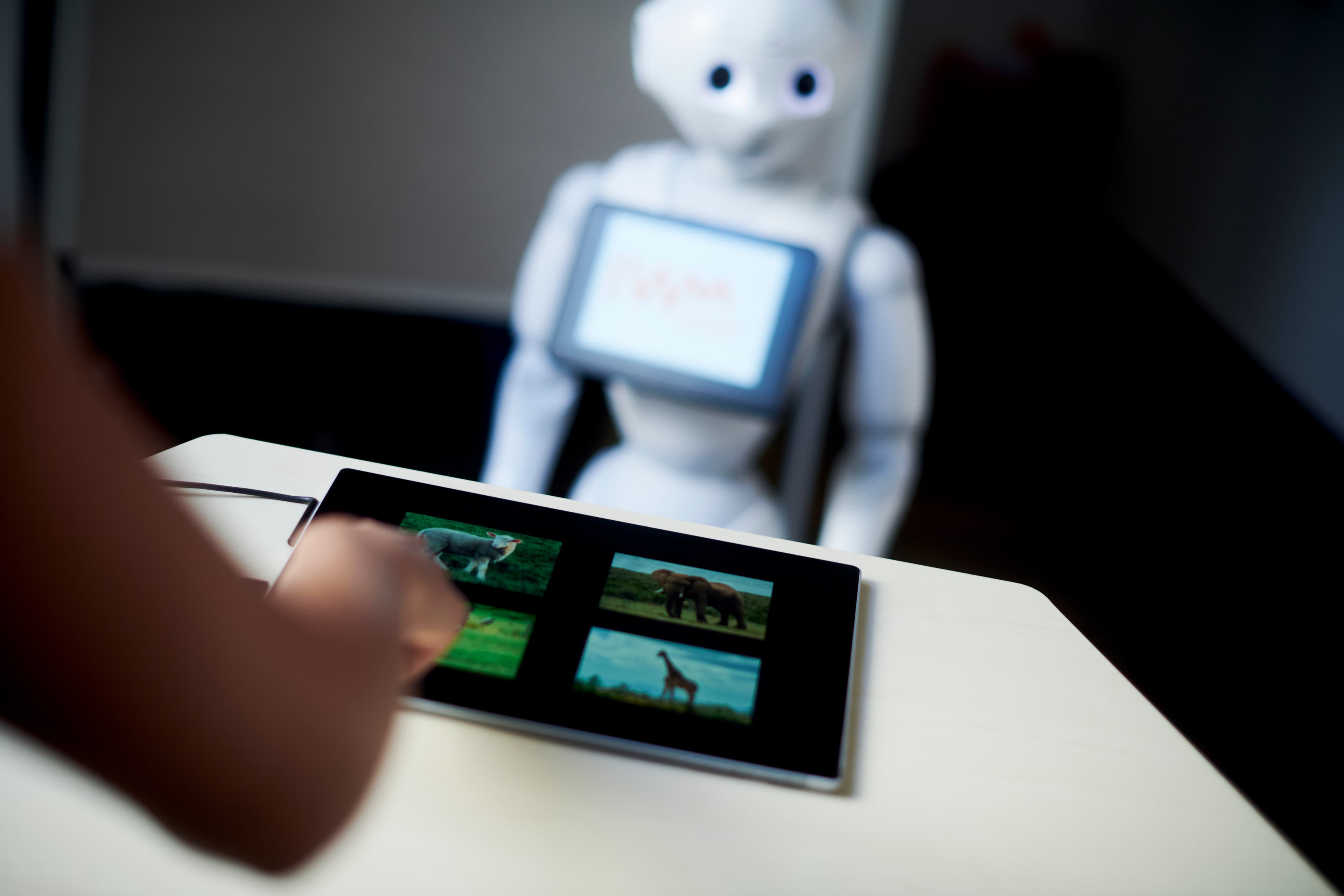 Eine Person bedient ein Tablet und im Hintergrund steht Pepper, der IWM-Roboter